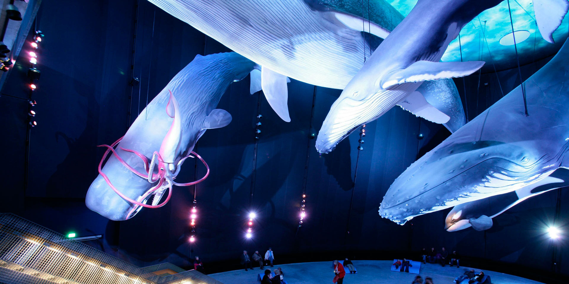 設計從驚嘆開(kāi)始